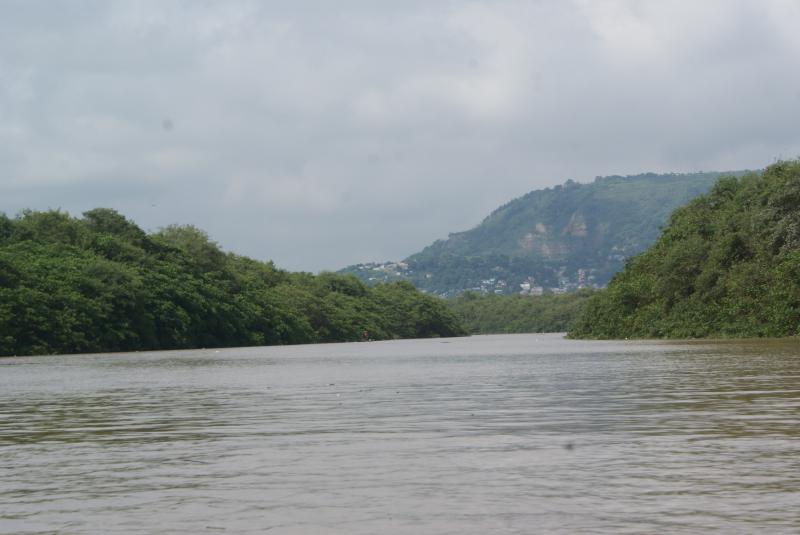 Refugio de Vida Silvestre Manglar del Estuario de Río Esmeraldas   