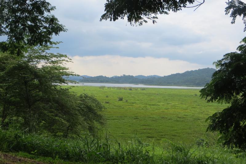 Área Nacional de Recreación Parque Lago