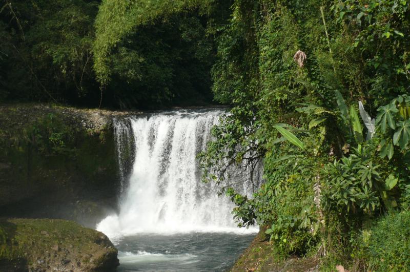 Reserva Ecológica Cotacachi Cayapas