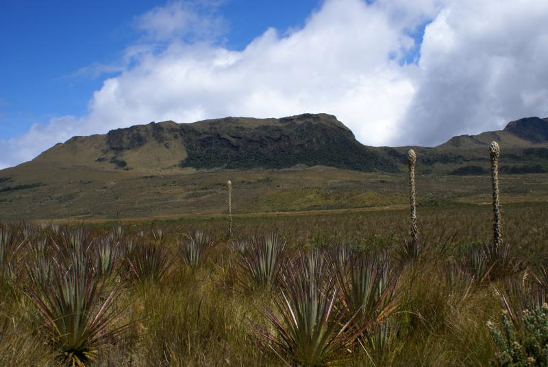 Parque Nacional Llanganates